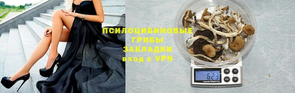гашик Армянск