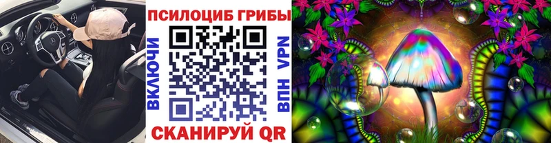 Галлюциногенные грибы прущие грибы  Гаврилов Посад 